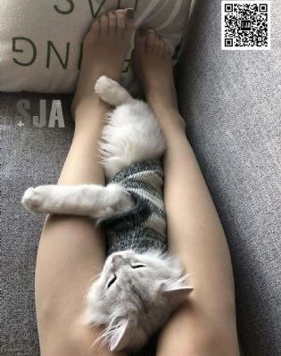 苹果范冰冰未删减版手机在线观看