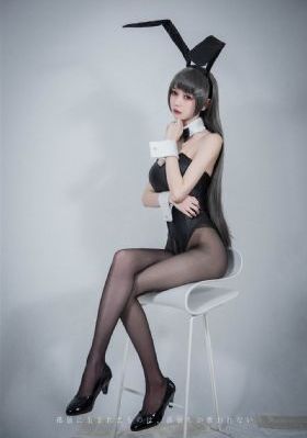 海鸥飞处彩云飞电视剧免费观看