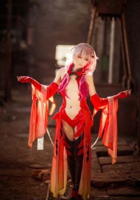 小蜜蜂美国版